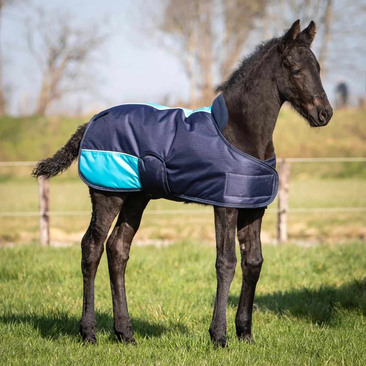 Veulendeken Twotone 200gr - 65 de Harry's Horse en Bleu foncé – photo produit