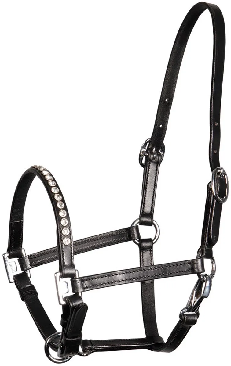 Veulenhalster Harry's Horse Crystal de Harry's Horse en Noir – photo produit
