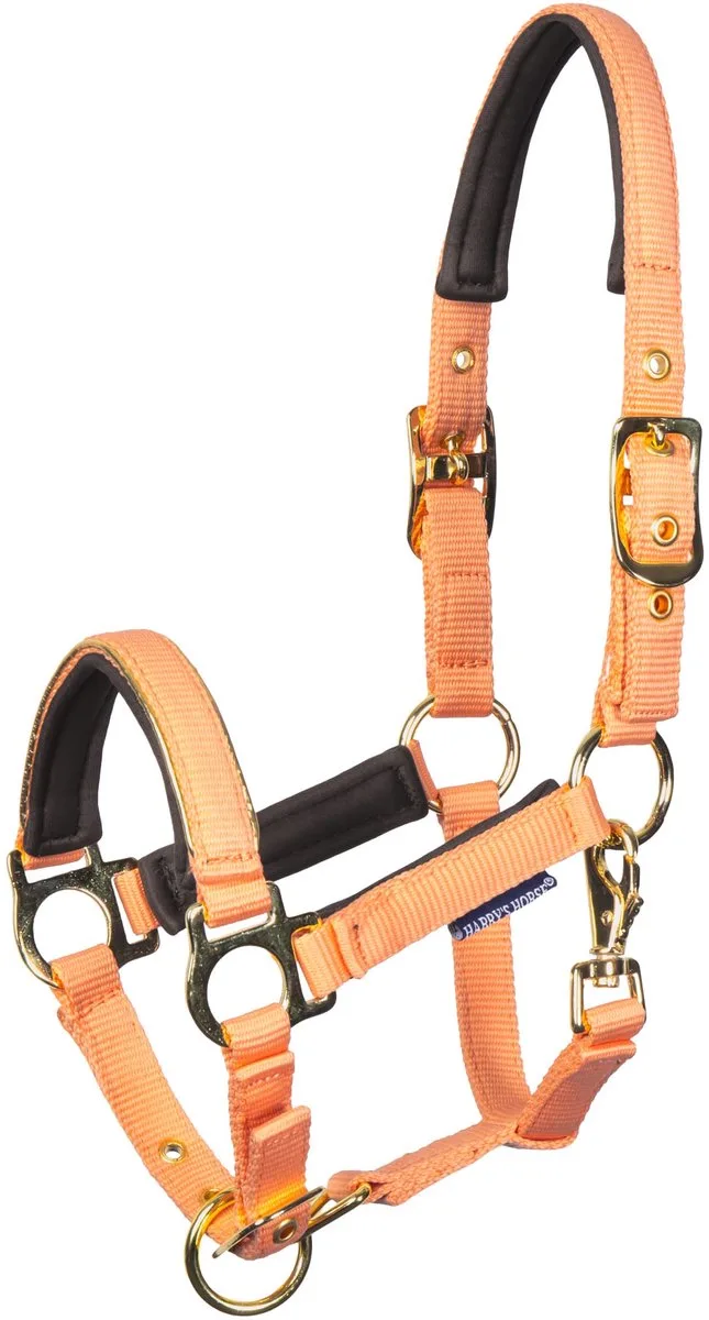 Veulenhalster Metal - Cadmium Orange - Mini Veulen by Harry's Horse in Cadmium-orange – product photo