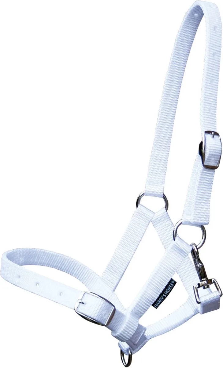 Veulenhalster paard Full Veulen de Harry's Horse en Blanc – photo produit