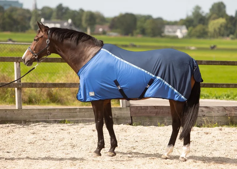 Vliegendeken Harry's Horse Mesh-pro - 125/165 de Harry's Horse en Bleu foncé – photo produit
