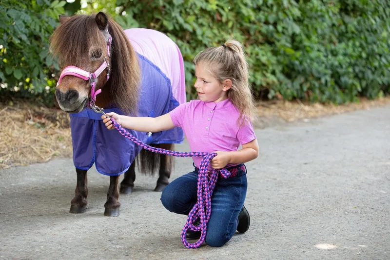 Vliegendeken Mesh Pro Diva van Harry's Horse in Paars – productfoto