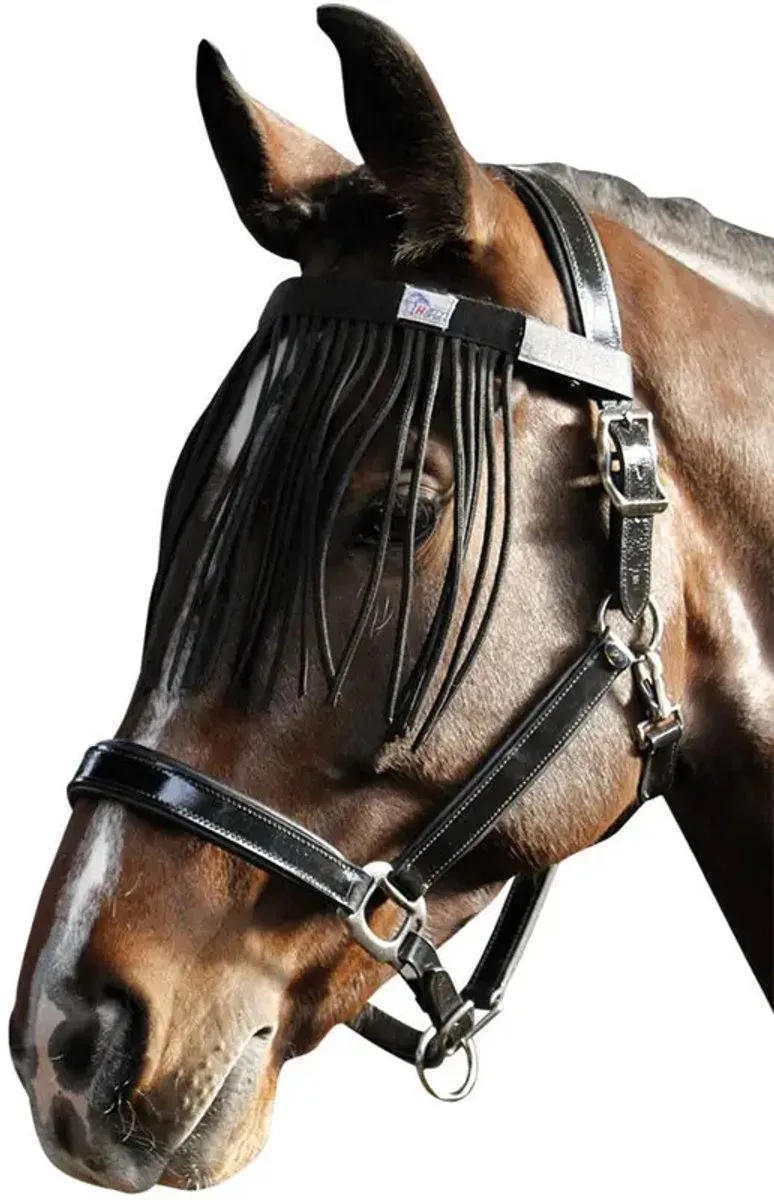 Vliegenfrontriem zwart cob de Harry's Horse – photo produit