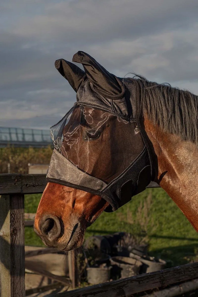 Vliegenmasker Flyshield bamboo lining - Met Oren - Zwart - S de Harry's Horse – photo produit
