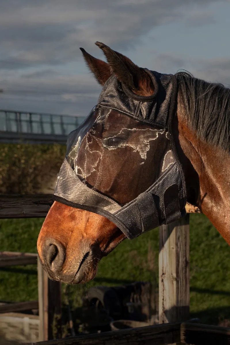Vliegenmasker Flyshield zonder oren - XS de Harry's Horse – photo produit