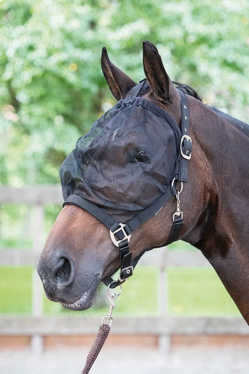 Vliegenmasker Halster - Full by Harry's Horse in Black – product photo