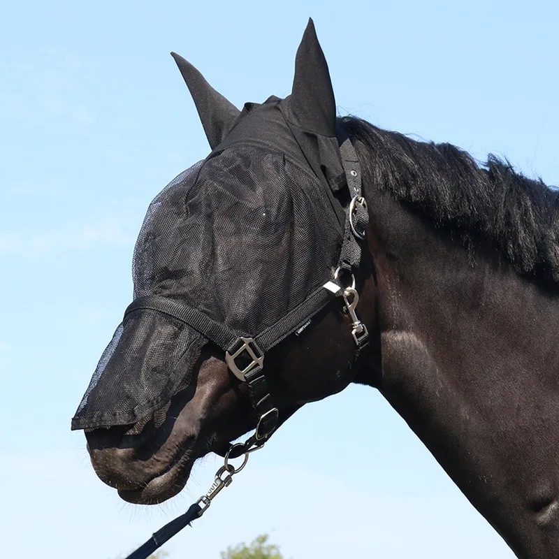 Vliegenmasker Halster met oren Pony de Harry's Horse en Noir – photo produit