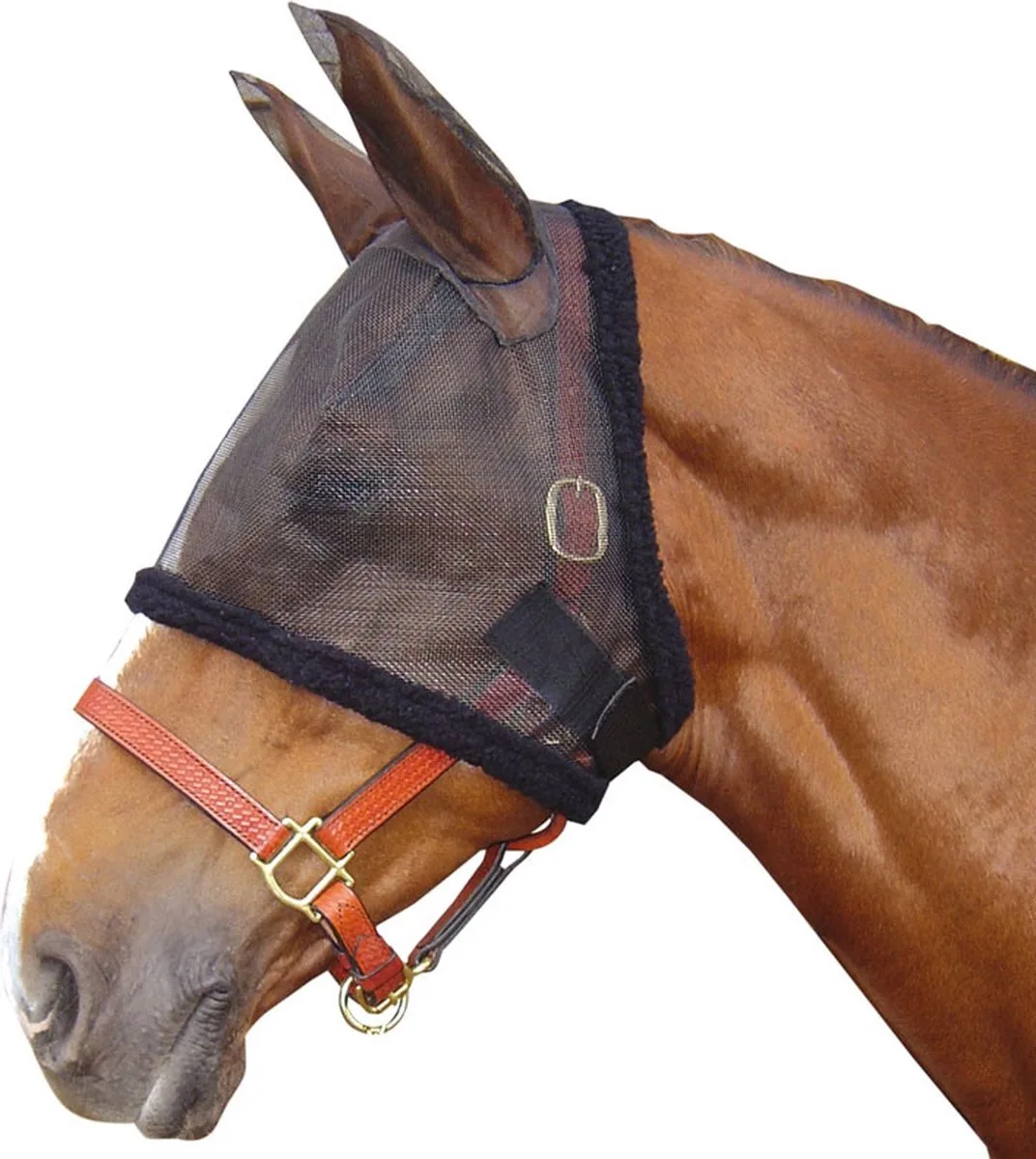 Vliegenmasker - met Oren - Zwart - Large van Harry's Horse – productfoto