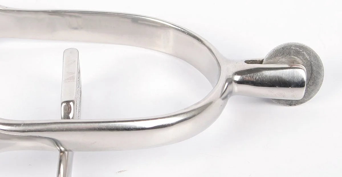 Wielspoor Glad - Groot - 30 mm by Harry's Horse in Silver – product photo