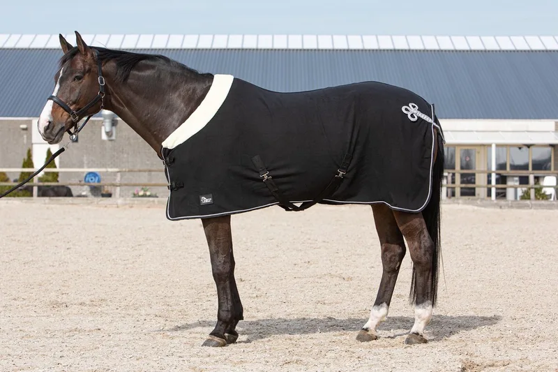 Zweetdeken Harry's Horse Champion - 135/185 by Harry's Horse in Black – product photo