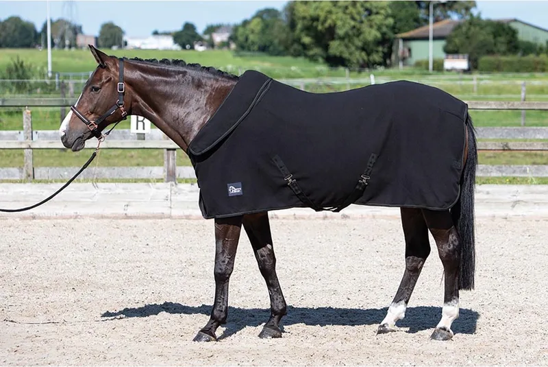 Zweetdeken Met Oprolbare Nek - 135/185 by Harry's Horse in Black – product photo