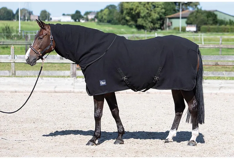 Zweetdeken Met Oprolbare Nek - 155/205 de Harry's Horse en Noir – photo produit