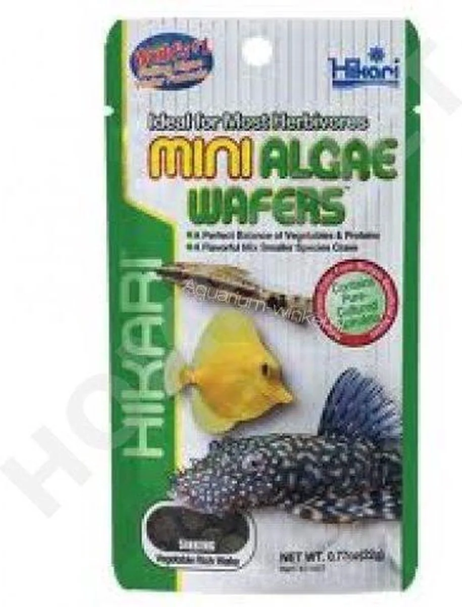 Mini Algae Wafers 1 kg från Hikari – produktbild