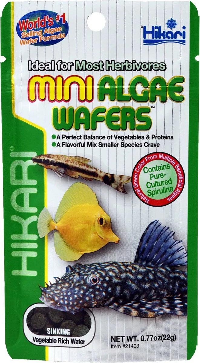 Mini Algae Wafers 22 g från Hikari – produktbild