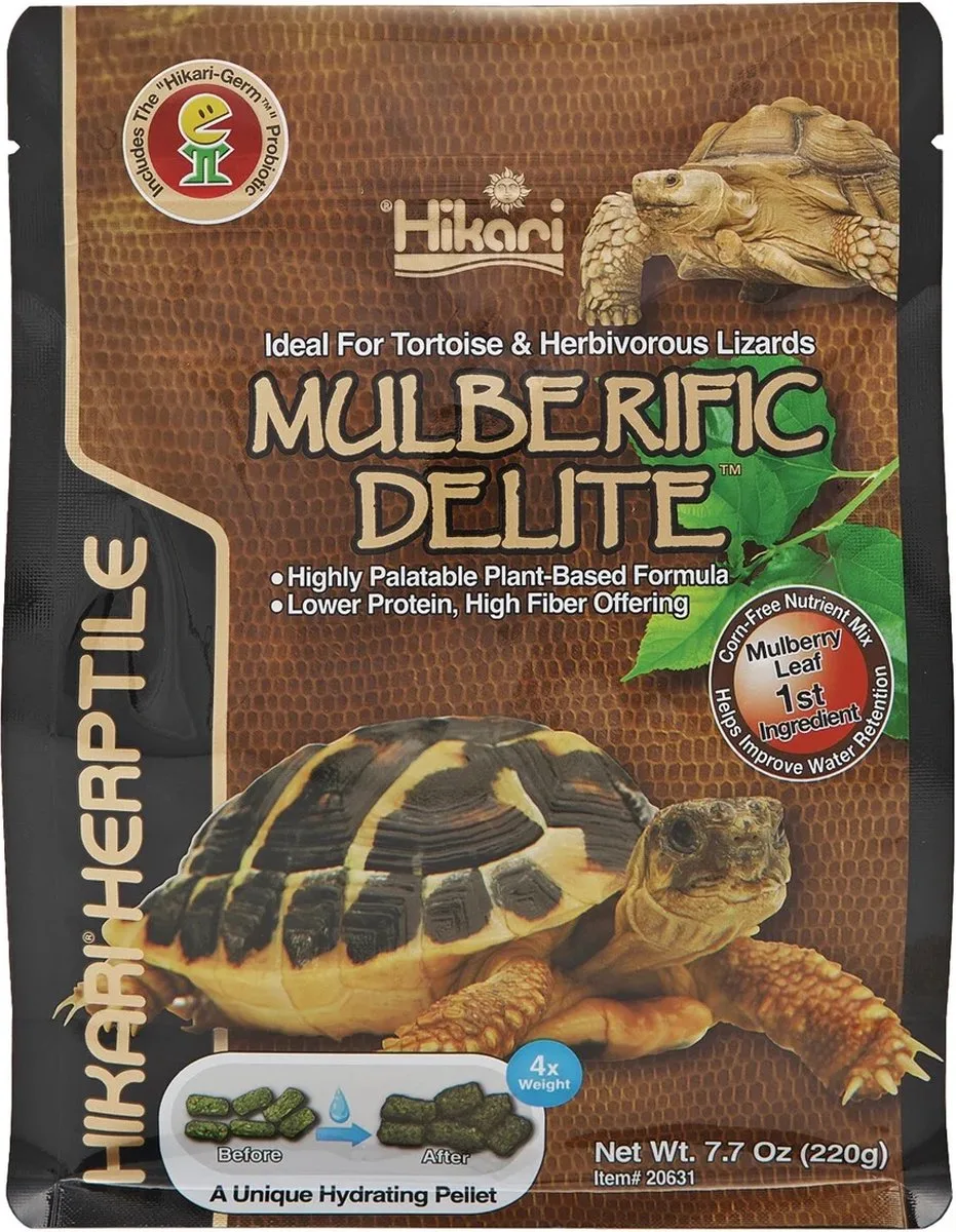 Turtle Mulberific de Hikari en Color – photo produit