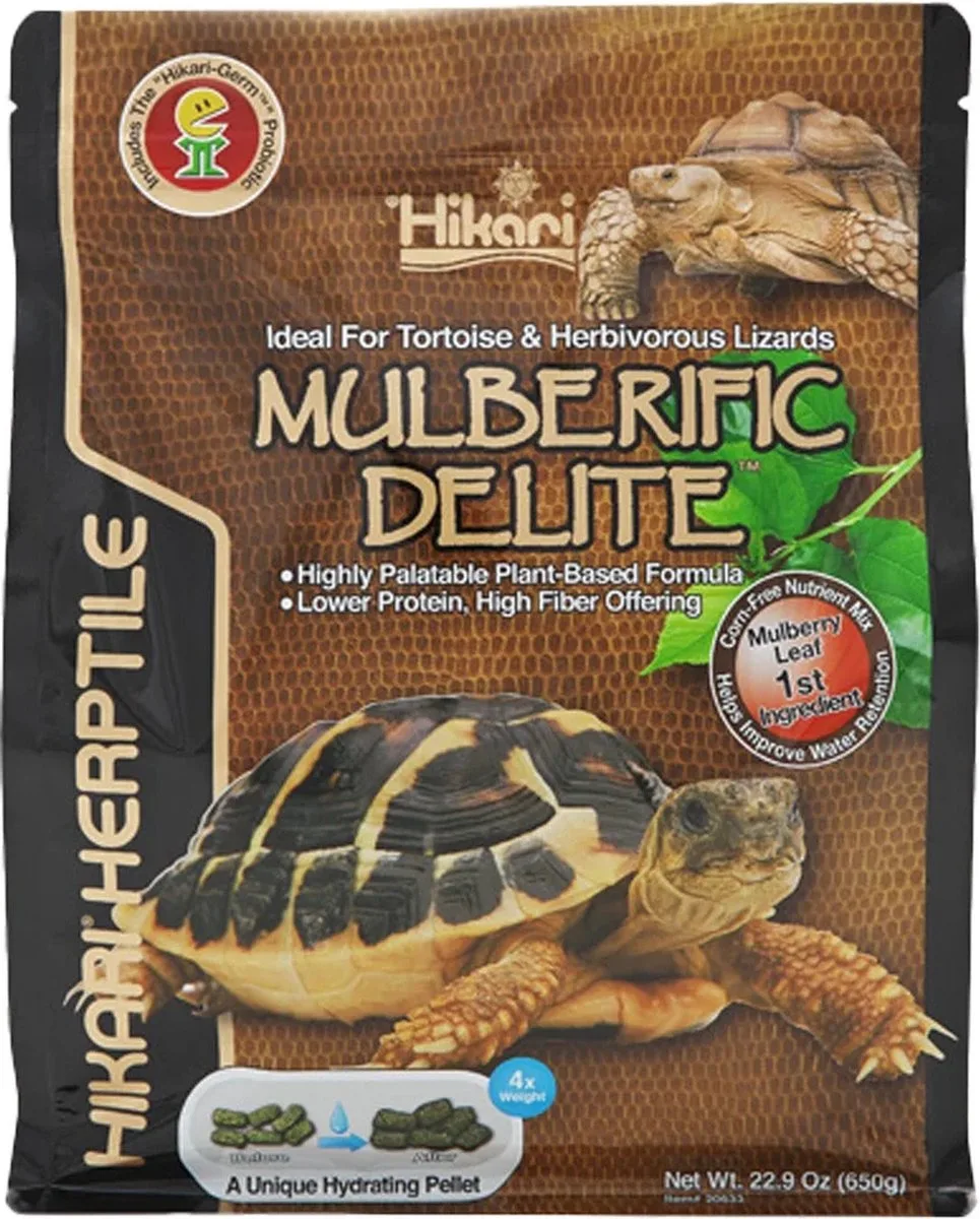 Turtle Mulberific by Hikari in Color – product photo