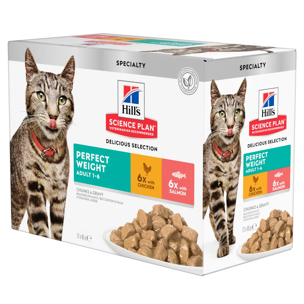 12x85g Adult Perfect Weight Kip & Zalm Hill's Science Plan Kattenvoer van Hill's – productfoto