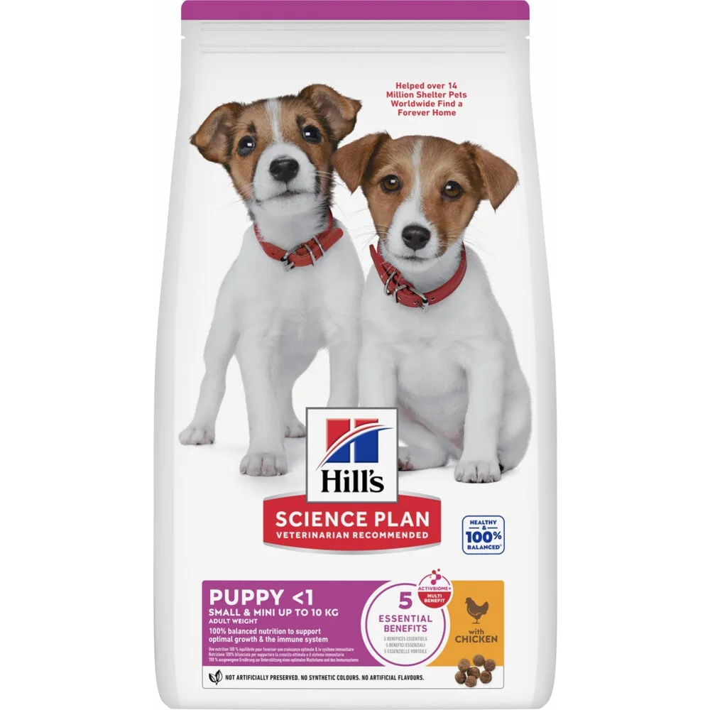 Hondenvoer Droog Puppy Small & Mini Kip 6 kg van Hill's – productfoto