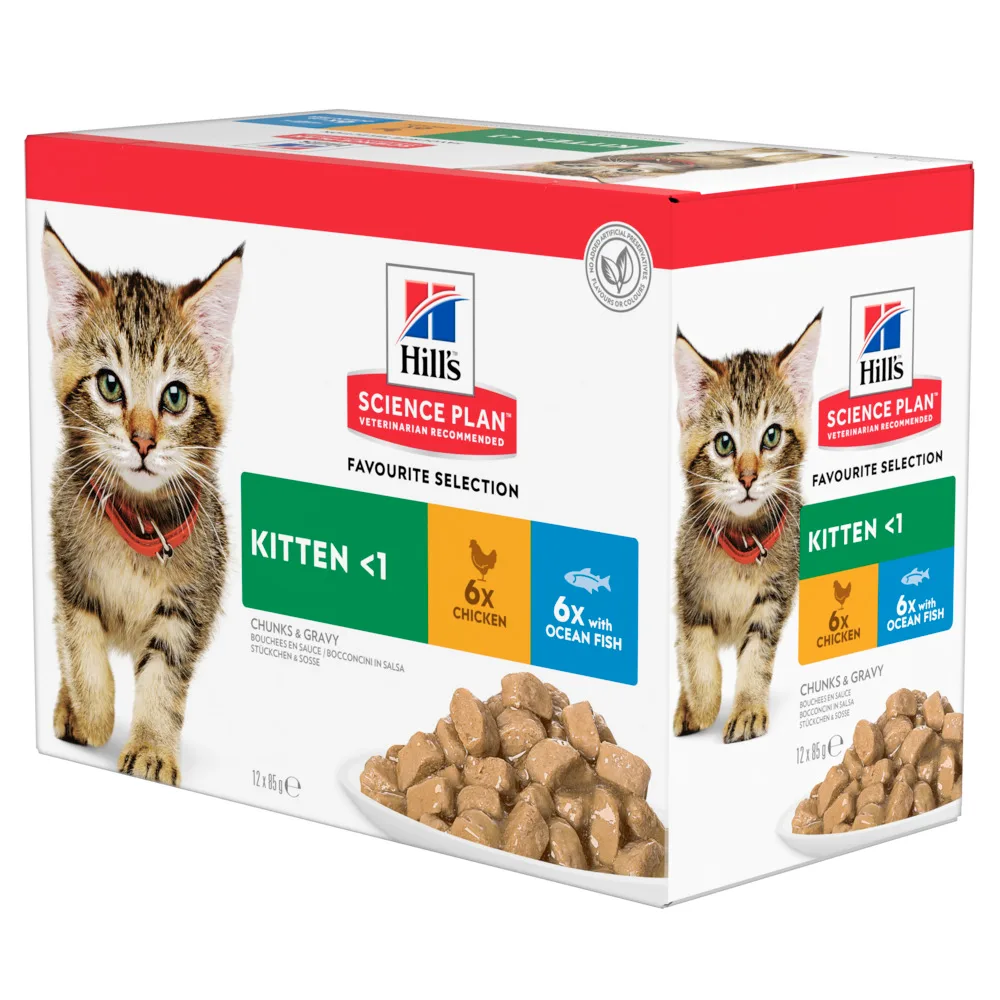 Kitten met Kip Bestel ook natvoer: 12 x 85 g Hill's Kitten - Vis selectie de Hill's – photo produit