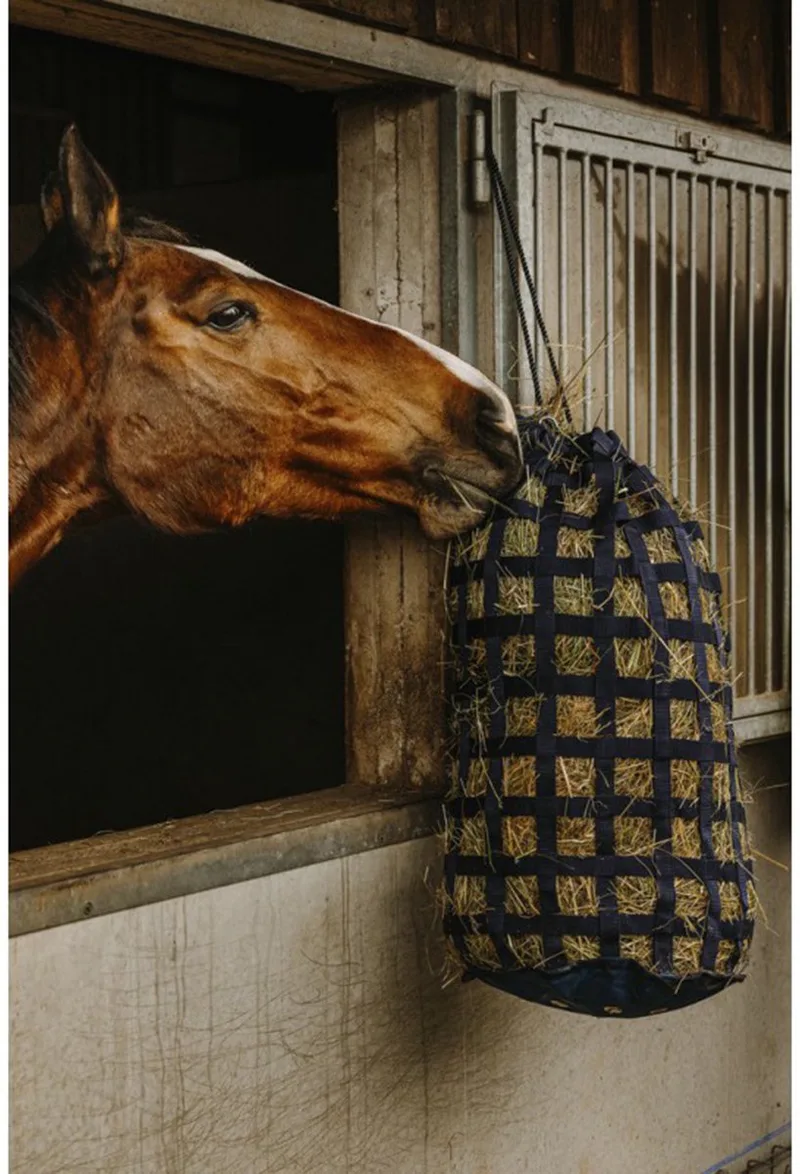 WEBBING SLOWFEEDER HOOIZAK von Hippo-Tonic in Dunkelblau – Produktfoto