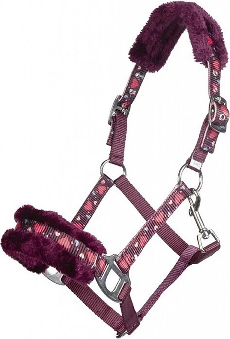 Halster Heart - maat MINI SH by HKM in Winred – product photo
