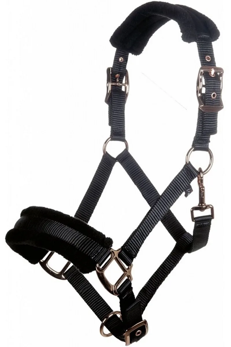 Halster -Rosegold Glamour- Style - Pony van HKM in Zwart – productfoto