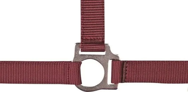 Halster -Stars Economy- donkerrood Pony von HKM in Rot – Produktfoto