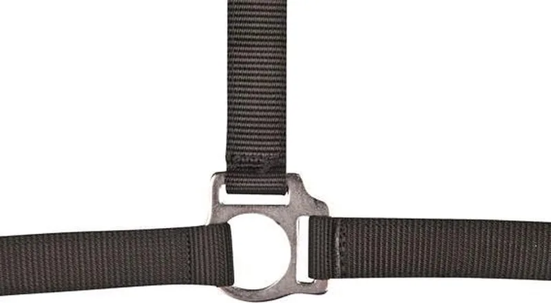 Halster -Stars Economy- Koudbloed paard de HKM en Noir – photo produit