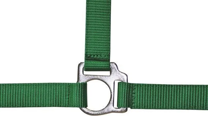 Halster -Stars Economy- lichtgroen Koudbloed paard by HKM in Green – product photo