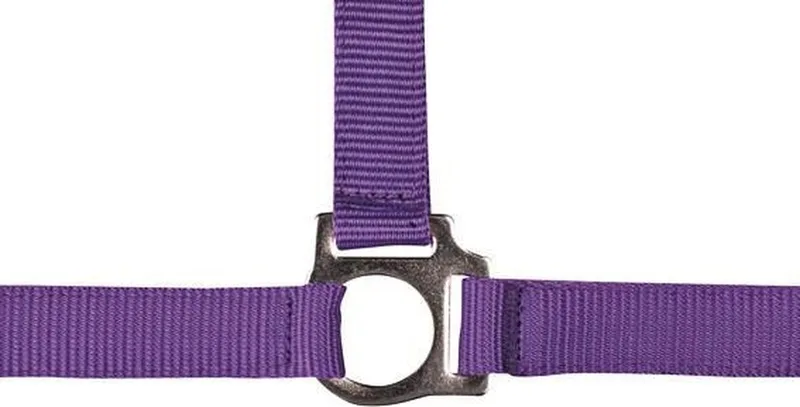 Halster -Stars Economy- Pony de HKM en Violet – photo produit