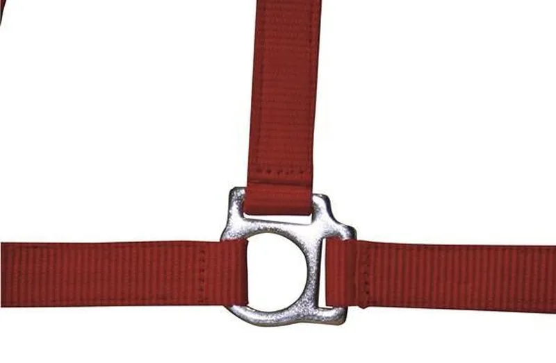 Halster -Stars Economy- Pony de HKM en Rouge – photo produit