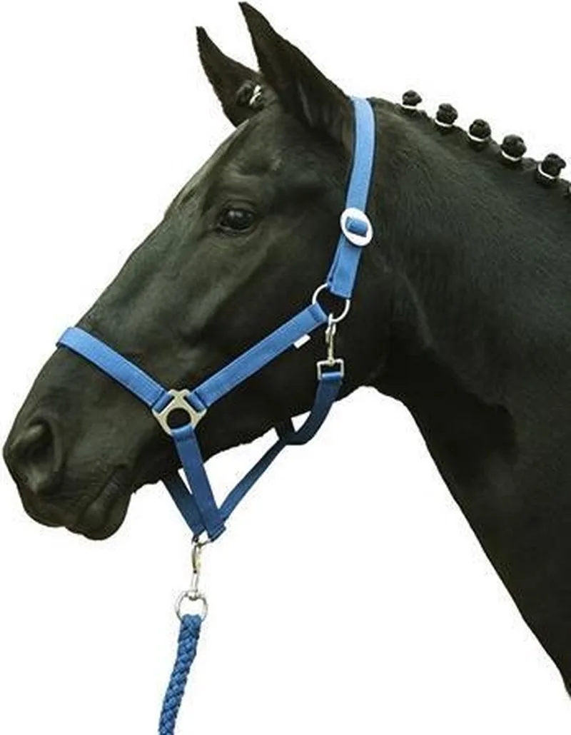 Halster -Stars Economy Softice by HKM in Kobaltblauw – product photo