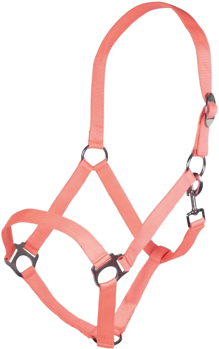 Halster Stars Economy Softice by HKM in Neon, Koraalrood – product photo