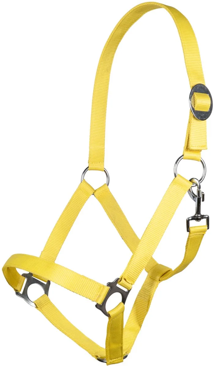 Halster -Stars Economy Softice- neongeel Pony de HKM en Jaune – photo produit