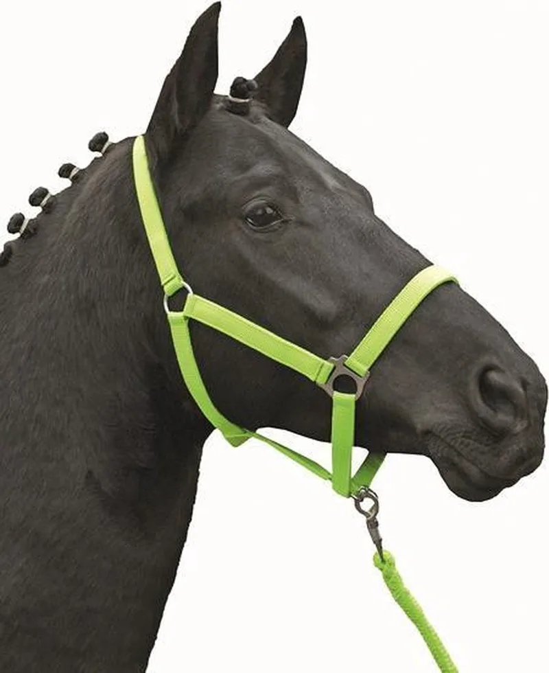 Halster -Stars Economy Softice- Pony von HKM in Neongroen – Produktfoto