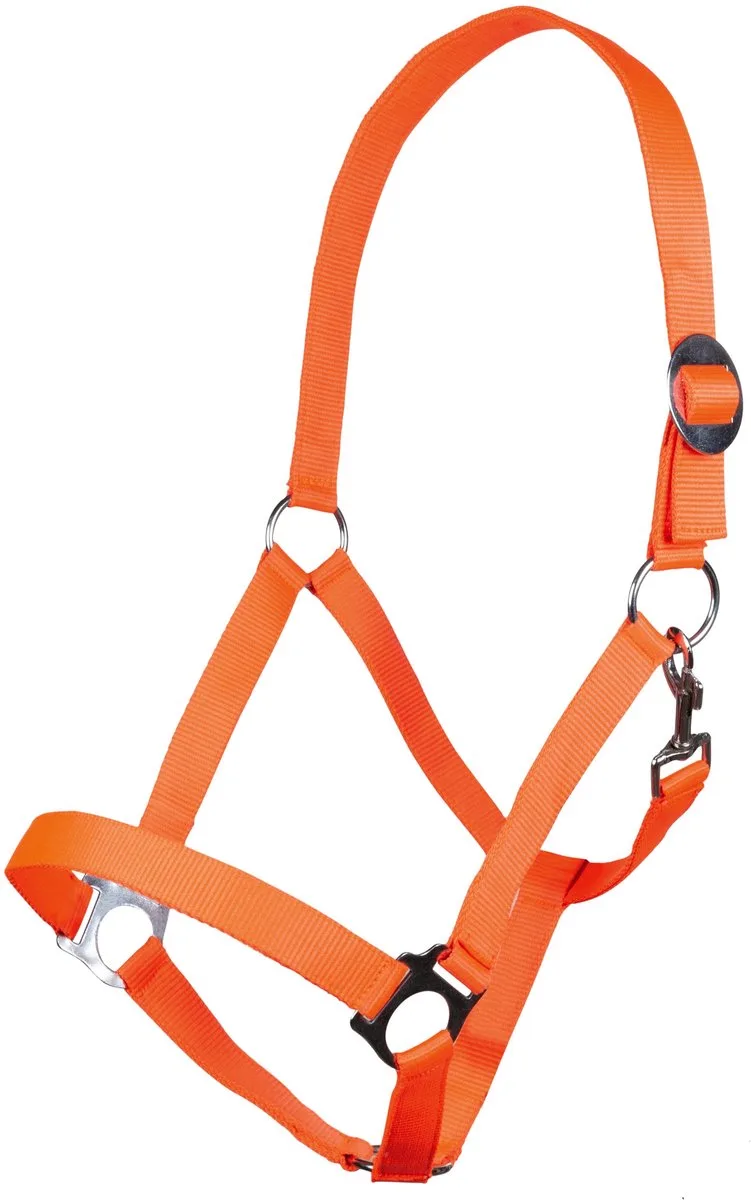 Halster -Stars Economy Softice- Pony by HKM in Neonoranje – product photo