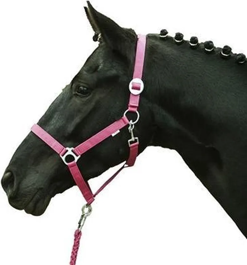 Halster -Stars Economy Softice by HKM in Pink – product photo