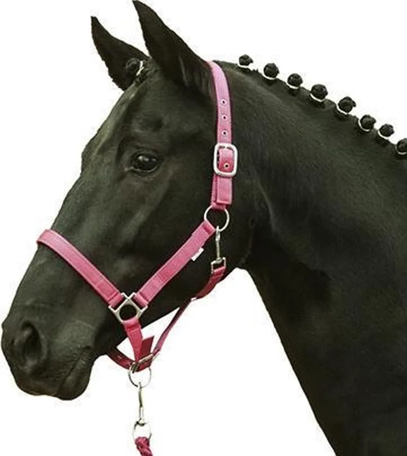 Halster Stars Softice met voering by HKM in Pink – product photo