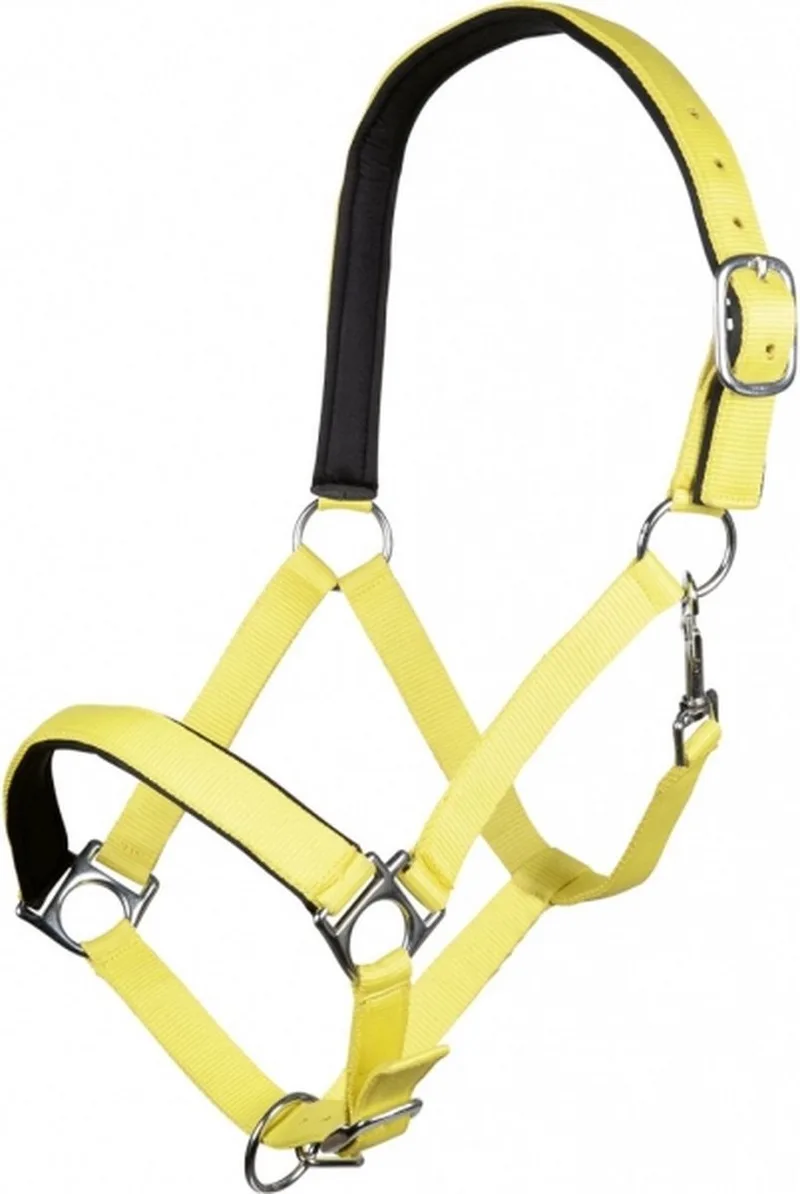 Halster -Stars Softice- neongeel Cob by HKM in Neon Geel – product photo