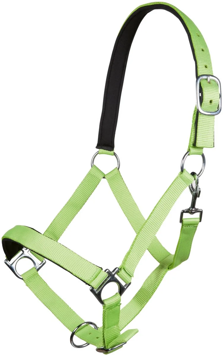 Halster -Stars Softice- neongroen Koudbloed paard von HKM in Grün – Produktfoto