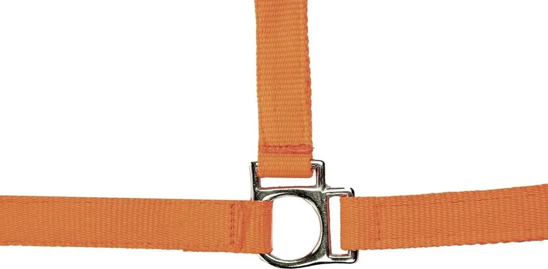 Halster -Stars Softice- neonoranje Pony von HKM in Orange – Produktfoto