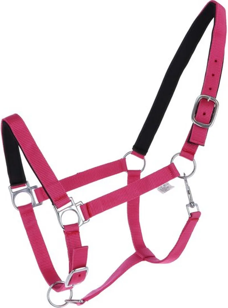 Halster -Stars Softice - pony by HKM in Pink – product photo