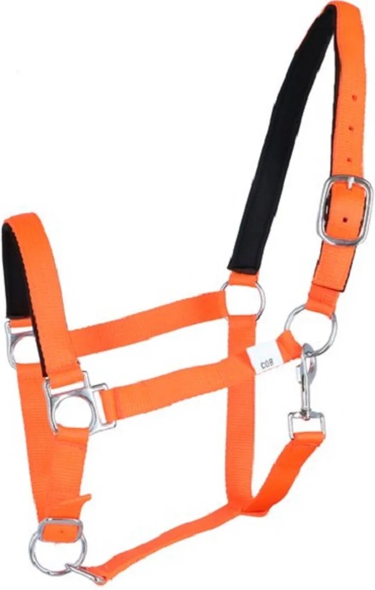 Halster -Stars Softice- Shetland pony de HKM en Neonoranje – photo produit