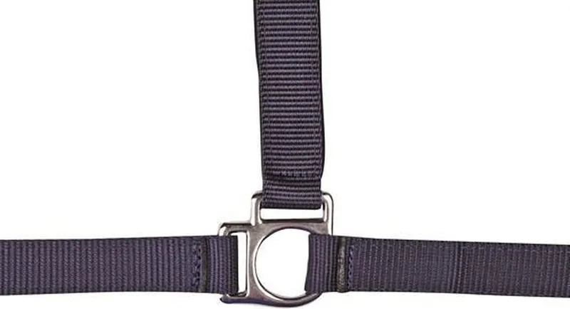 Halster -Stars-, zacht onderlegd donkerblauw Pony de HKM en Bleu – photo produit