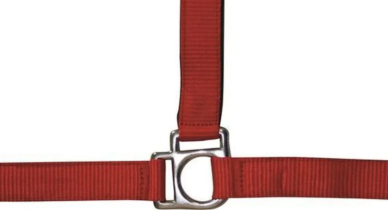 Halster -Stars-, zacht onderlegd Pony by HKM in Red – product photo