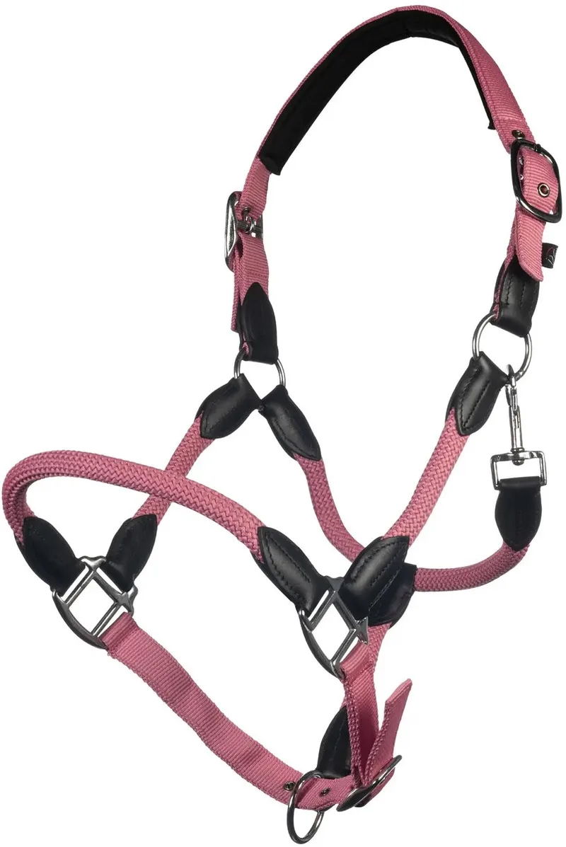 Halster voor paarden HKM Carlotta by HKM in Pink – product photo