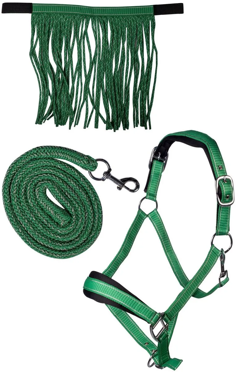 Halsterset Lilly - Inclusief Vliegenfrontriem - Maat Full de HKM en Vert – photo produit