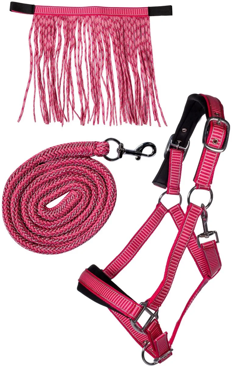 Halsterset Lilly - Met Vliegenfront - Maat Cob de HKM en Rose – photo produit