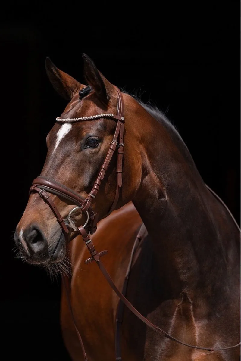 hoofdstel Flora - cob (volboed) de HKM en Cognac – photo produit