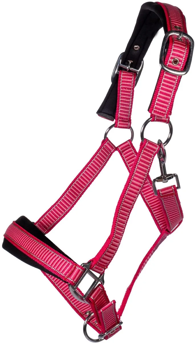 Imperial Riding - Halsterset Lilly - Met Vliegenfrotriem - Maat Full de HKM en Rose – photo produit